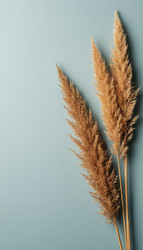 Similar image 22442254