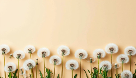 Similar image 22442256