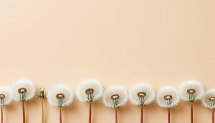 Similar image 22442258