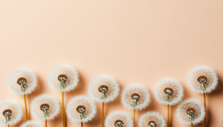 Similar image 22442259