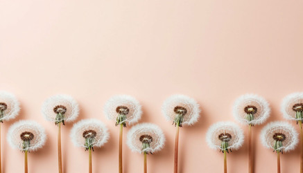 Similar image 22442260