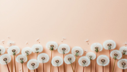 Similar image 22442261