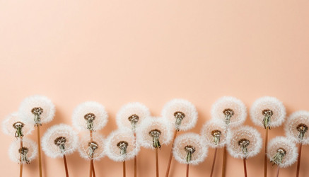 Similar image 22442262