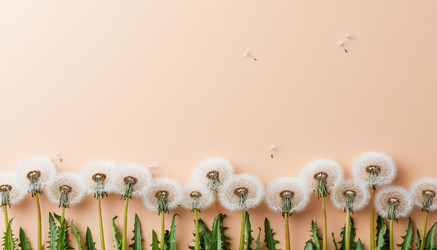 Similar image 22442264