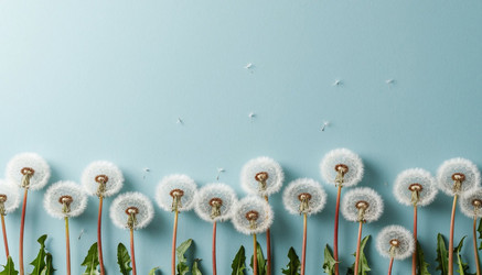 Similar image 22442265