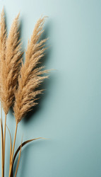 Similar image 22414919