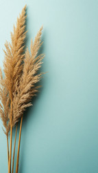 Similar image 22415045