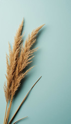 Similar image 22442266