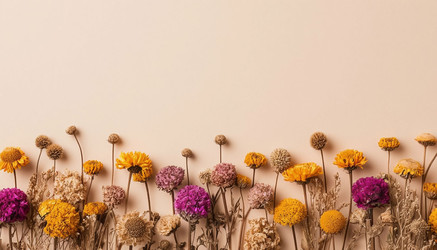 Similar image 22442267