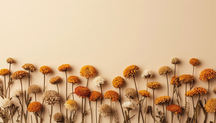 Similar image 22442269