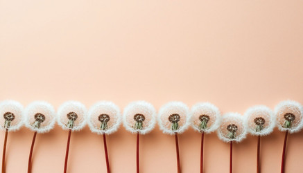 Similar image 22442270