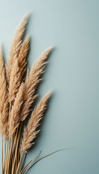 Similar image 22442272