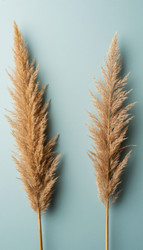 Similar image 22442274