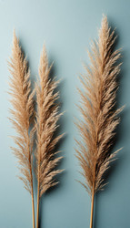 Similar image 22442276