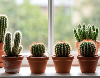 Similar image 22442357