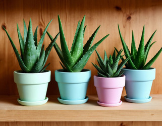 Similar image 22442399