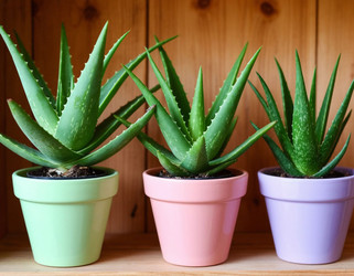 Similar image 22442403