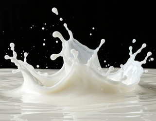 Similar image 22446362