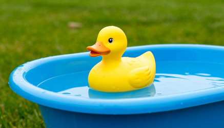 Similar image 22446370