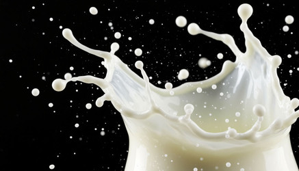 Similar image 22446373