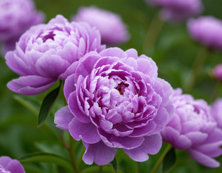 Similar image 22446408