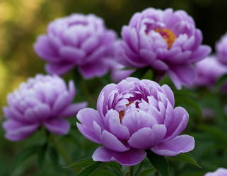 Similar image 22446414