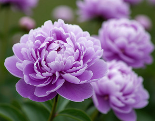 Similar image 22446421