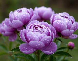 Similar image 22446434