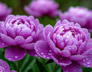 Similar image 22446438