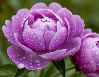 Similar image 22446442