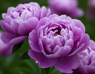 Similar image 22446448