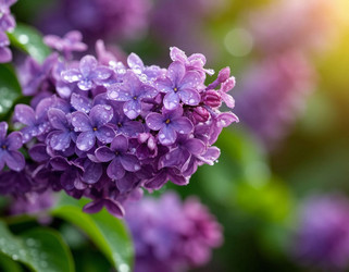 Similar image 22446455