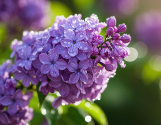 Similar image 22446463