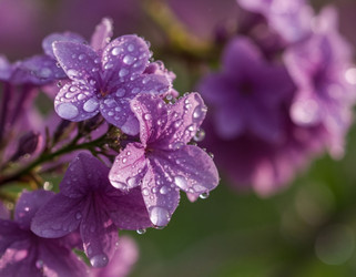 Similar image 22446468