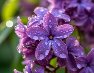 Similar image 22446472