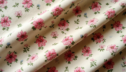 Similar image 22446518