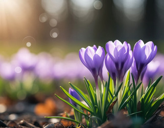 Similar image 22446527