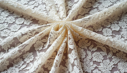 Similar image 22446559