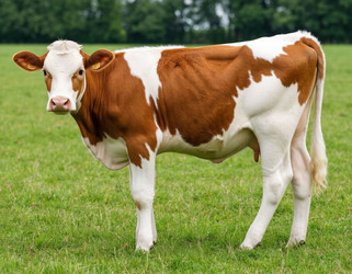 Similar image 22446589