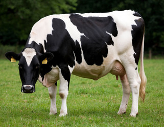 Similar image 22446591