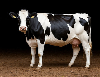 Similar image 22446592