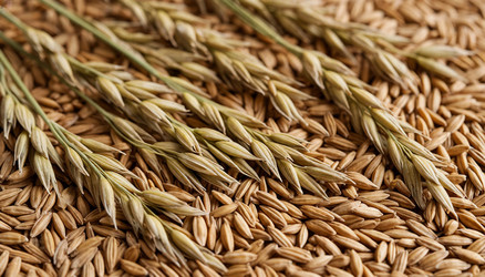 Similar image 22446803