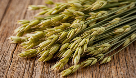 Similar image 22446805