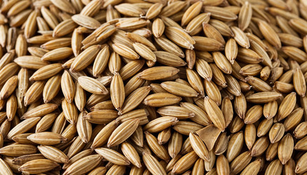 Similar image 22446807