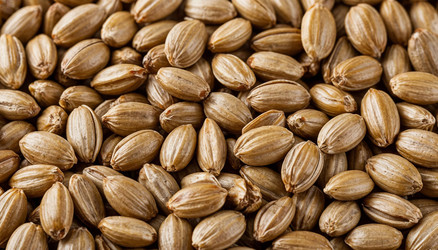 Similar image 22446811