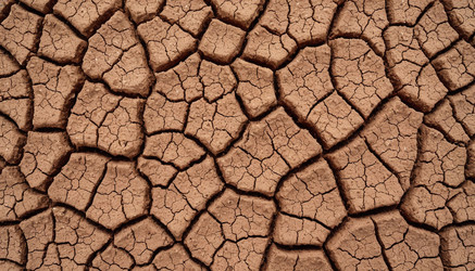 Similar image 22446900