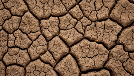 Similar image 22446903