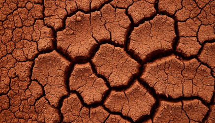 Similar image 22446907