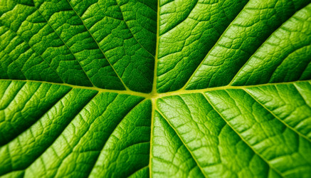 Similar image 22446915