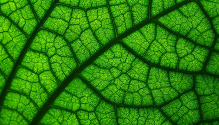 Similar image 22446916